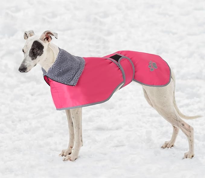 Geyecete Dog Winter Coat Geyecete Greyhound Raincoat Fabric with Lamb Velvet Inside Outdoor Dog Apparel with Adjustable Bands for Medium, Large Dog-Pink-XXL