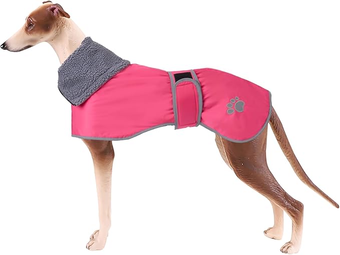 Geyecete Dog Winter Coat Geyecete Greyhound Raincoat Fabric with Lamb Velvet Inside Outdoor Dog Apparel with Adjustable Bands for Medium, Large Dog-Pink-M