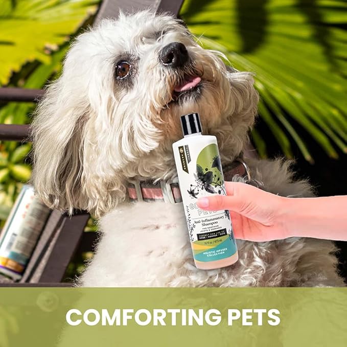 Holistic Natural Anti-Inflammatory Pet Shampoo: Veterinarian Recommended: Soothing Joints & Soreness for Dogs, Cats and Horses - Made in USA - 16 oz