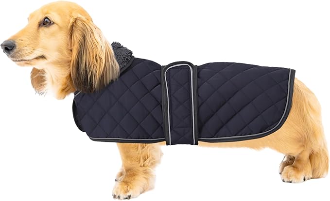 Warm Thermal Quilted Dachshund Coat, Dog Winter Coat with Warm Fleece Lining, Outdoor Dog Apparel with Adjustable Bands for Medium, Large Dog-Dark Blue-XS