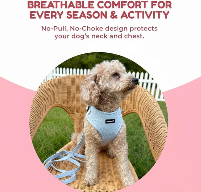 No Pull Neoprene Dog Harness and Leash Set for Small Dog, Neck(11.5–14 in), Adjustable Soft Mesh Design, Blue XS -Lightweight No Choke Fit, Step-in, Escape-Proof Comfort
