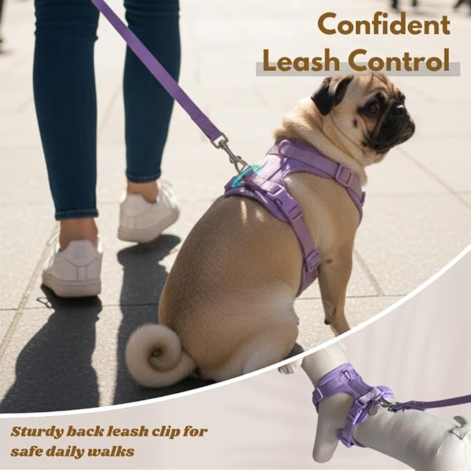Dog Harness, No-Pull Pet Harness with 3 Leash Clips, Adjustable Soft Padded Dog Vest, Breathable Mesh Cushion for Small Medium Large Dogs (Purple, Large (Neck:20"-25" Chest 28"-41"))