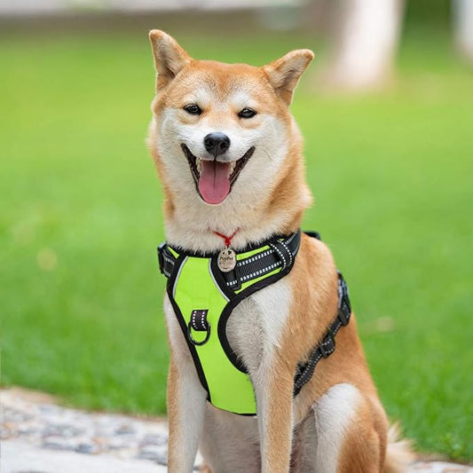 PoyPet No Pull Dog Harness, Reflective Comfortable Vest Harness with Front & Back 2 Leash Attachments and Easy Control Handle Adjustable Soft Padded Pet Vest for Small to Large Dogs (Green,M)