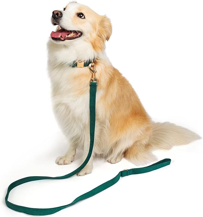 Soft Corduroy Dog Collar and Leash Set Adjustable Durable Dog Collars with Metal Buckle and Lead for Medium Dogs,Dark Green