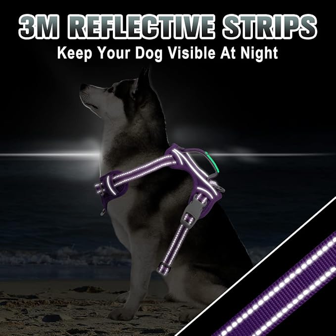 BARKBAY No Pull Dog Harness Large Reflective Dog Harness with Front Clip and Easy Control Handle for Walking Training Running with ID tag Pocket(Purple,M)