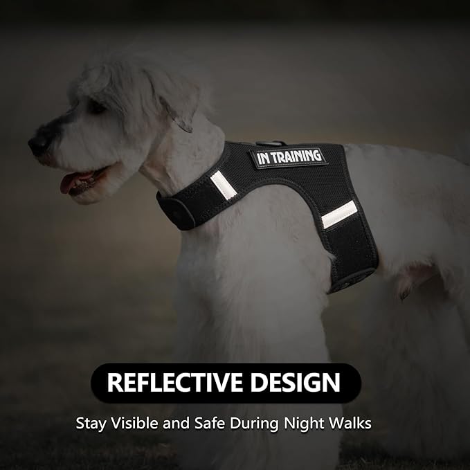 Dog Harness for Puppy – Adjustable Reflective Easy Put On Soft Mesh Vest for Small Dogs with 2 Patches (Black,M)