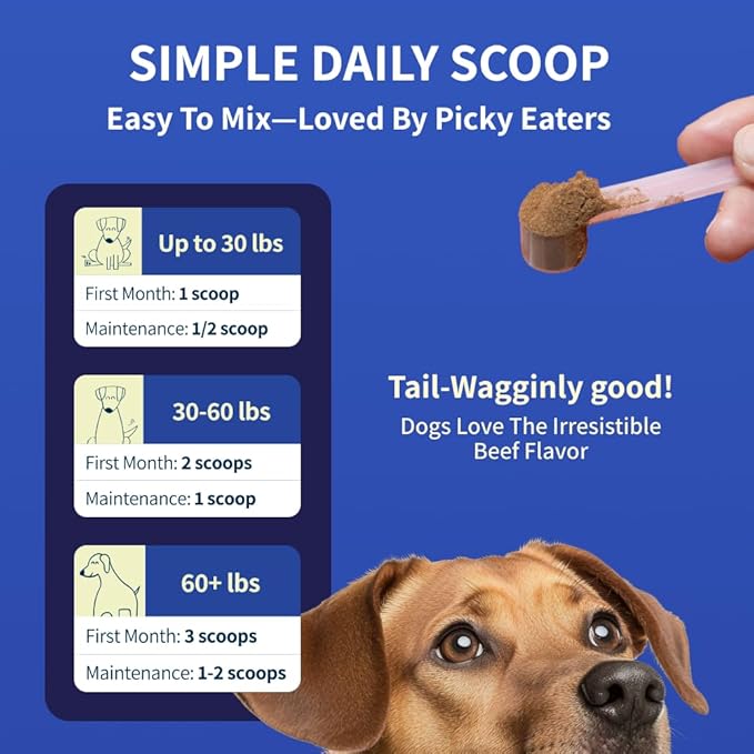Fifth & Fido Joint Supplement for Dogs - Glucosamine for Dogs - Pet Vitamins and Supplements Powder with Chondroitin & MSM - Hip & Joint Support for Mobility, Stiffness & Flexibility - Mushroom Blend