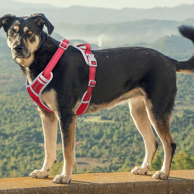 Adjustable Dog Harness - No Pull, Reflective, Soft Padded for Small, Medium, Large Dogs - Includes Leash Red S