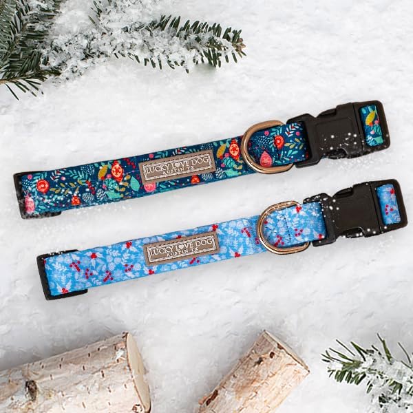 Lucky Love Dog - Adjustable Dog Collar with Easy Click Buckle for Small to Large Dogs, Durable, & Comfortable for Male & Female Dogs, Pet Collar for Puppies & Adult Ones - Winterblue, XS