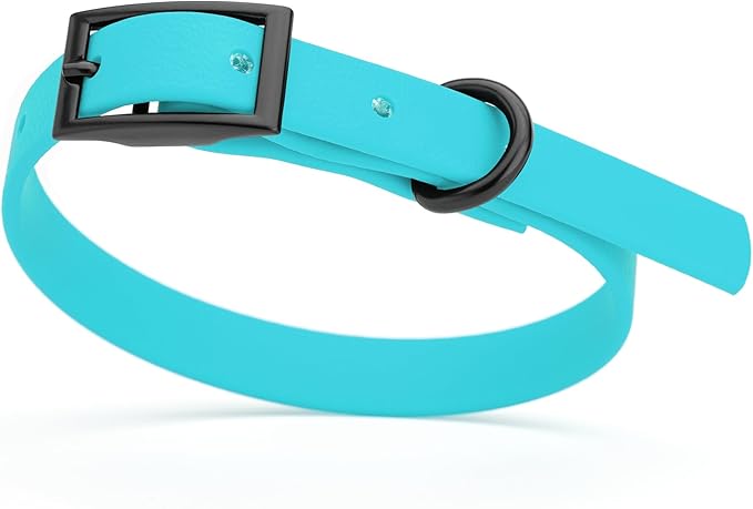 Dogline Biothane Coated Webbing Dog Collar with Black Metal Hardware: Durable Easy-Clean Everyday Collar for Dogs - Comfortable Adjustable Odor-Resistant Pet Collar, W1/2" x L9-12, Sky Blue