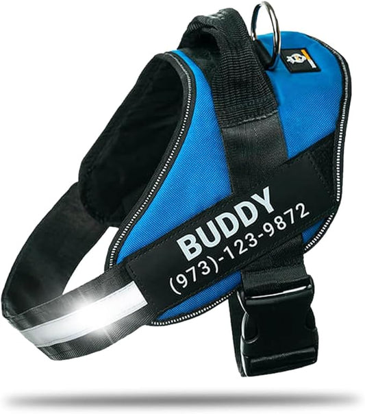 Personalized No-Pull Dog Harness with Name Patch, Adjustable, Reflective, Padded, Heavy Duty Pet Vest to Prevent Tugging, Pulling, or Choking, Training and Walking, Blue, XS