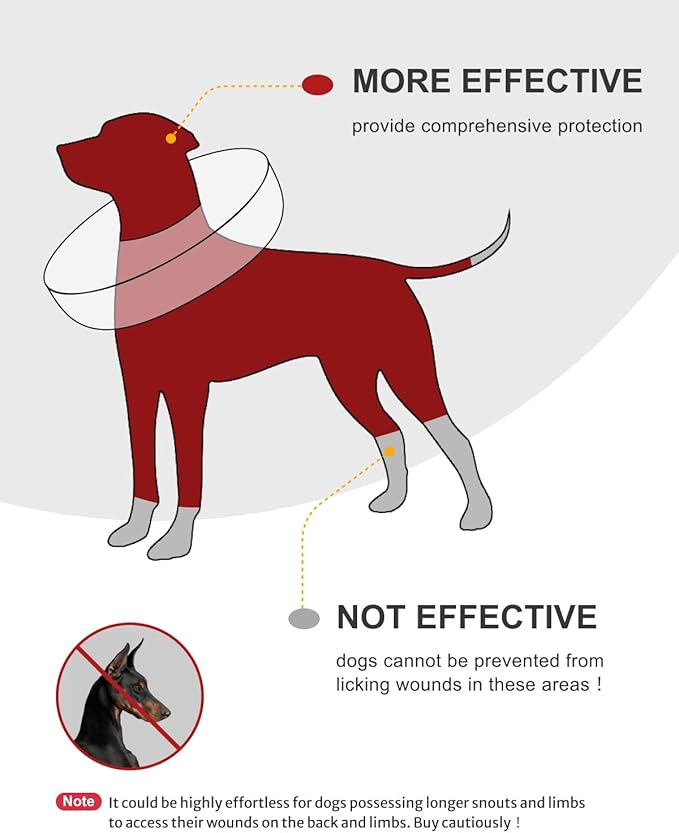 MIDOG Soft Inflatable Dog Cone,Donut E-Collar Alternative for After Surgery, Prevents Licking, Allowing Normal Eating & Vision,Comfortable Recovery Collar for Small Medium Large Dogs&Cats,Kiwifruit-XS