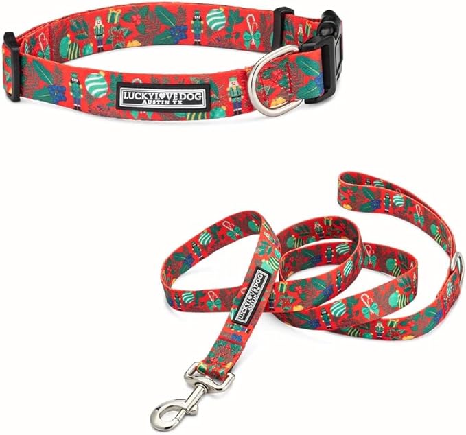 Lucky Love Dog - Easy Click Buckle Dog Collar with Leash Set Combo, Durable & Comfortable for Male & Female Dogs, Pet Collar for Small to Large Dogs, Secure Fit - Fritz Combo, XS