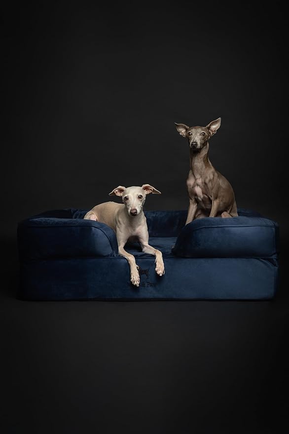 NOAH & PAW Large Dog Bed, 35x25x11 Inch, Orthopedic Dog Beds, Eggshell Memory Foam Infused with Cooling Gel, Inner Cover, Waterproof, Machine Washable (Velvet Sofa Collection)