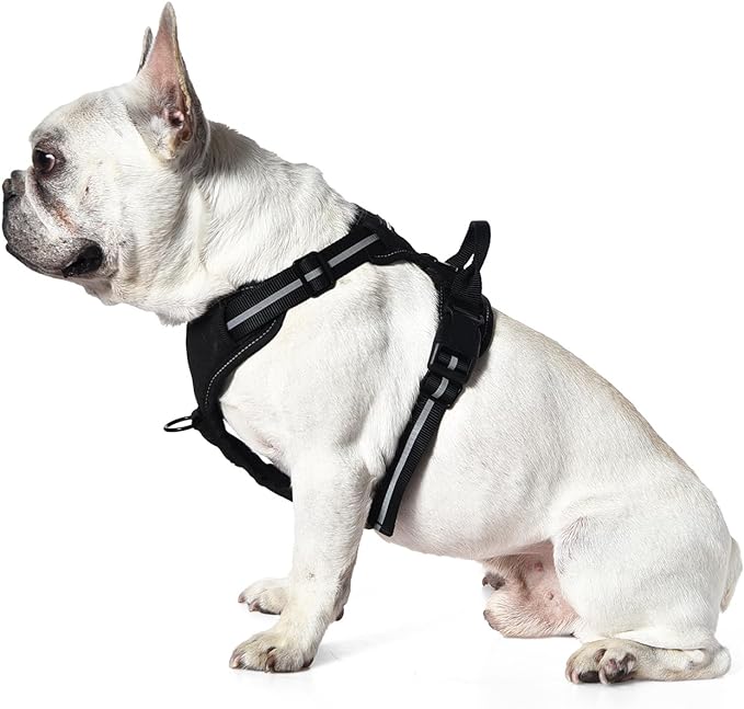 Amazon Basics No-Pull Dog Harness, Adjustable Soft Padded Vest with Reflective Stripes, Small, Black