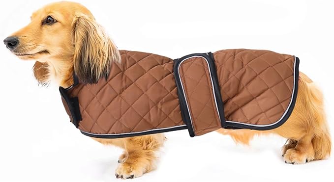 Warm Thermal Quilted Dachshund Coat,Dog Winter Coat with Warm Fleece Lining,Outdoor Dog Apparel with Adjustable Bands for Medium,Large Dog-Brown-L
