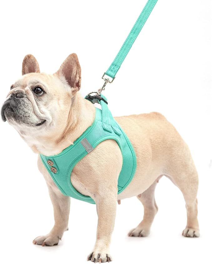 PUPTECK Dog Harness and Leash Set for Small Medium Dogs No Pull Step-in Soft Mesh Puppy Cat Vest Harnesses Reflective at Night, Denim Green M