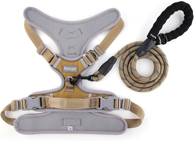 Adjustable Dog Harness - No Pull, Reflective, Soft Padded for Small, Medium, Large Dogs - Includes Leash Beige L