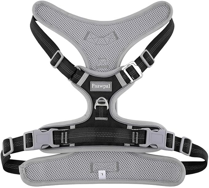 Adjustable Dog Harness - No Pull, Reflective, Soft Padded for Small, Medium, Large Dogs - Includes Leash and Collar Black M