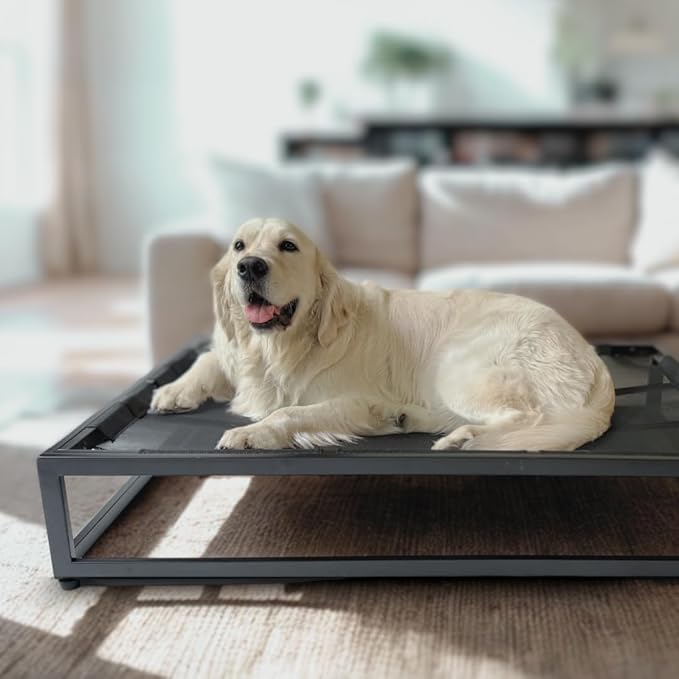 FUZI Up Pup Extra Large Elevated Dog Bed, Strong Indoor/Outdoor Raised Bed for Dogs, Chew-Proof & Durable, Breathable Design, XL Dog Cot, Extra Large Pet Bed, 45x30x9 Black