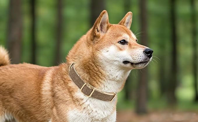 Soft Hemp Dog Collar and Leash Set Adjustable Woven Tweed Dog Collars with Metal Buckle and Lead for Small Medium Large Dogs,Coffee