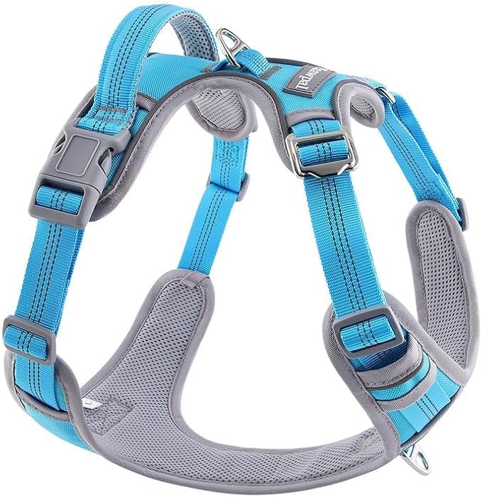 Adjustable Dog Harness - No Pull, Reflective, Soft Padded for Small, Medium, Large Dogs - Includes Leash Turquoise L