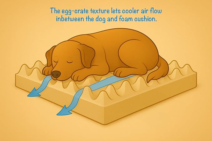 Furry's Paradise Foam Cuddler Pet Bed with Waterproof Liners, Reversible Cushion, Washable Cover, Recycled Fibers and Non-Slip Bottom. (in The Clouds, Orthopedic Medium)