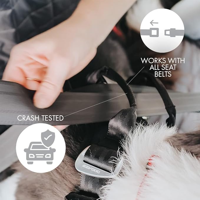 EzyDog Drive Dog Car Harness – Crash Tested and Certified (US-FMVSS 213) Dog Seat Belt Harness for Safe Travel, Adjustable with Padded Comfort (Large)