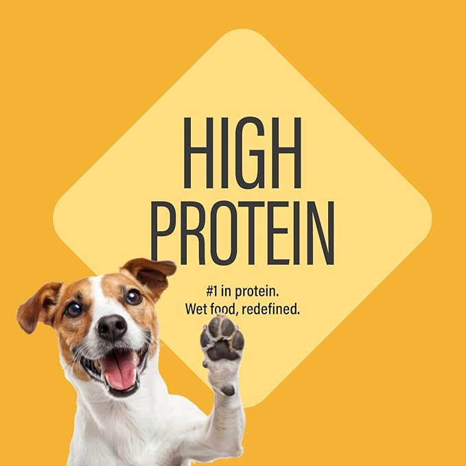 Chewer's Joy High Protein Wet Dog Food – Grain Free, No by-Products, No Gums – Natural Pâté – Real Chicken, Beef & Salmon – 12 Pack, 3oz Cans Variety Pack