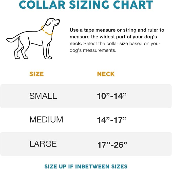 Embark Urban Dog Collar – Stylish & Durable Nylon Dog Collars for Small Dogs, Comfortable Pet Collar, Small Dog Collars for Male & Female Dogs with Strong Buckles. Adjustable Small Dog Collars