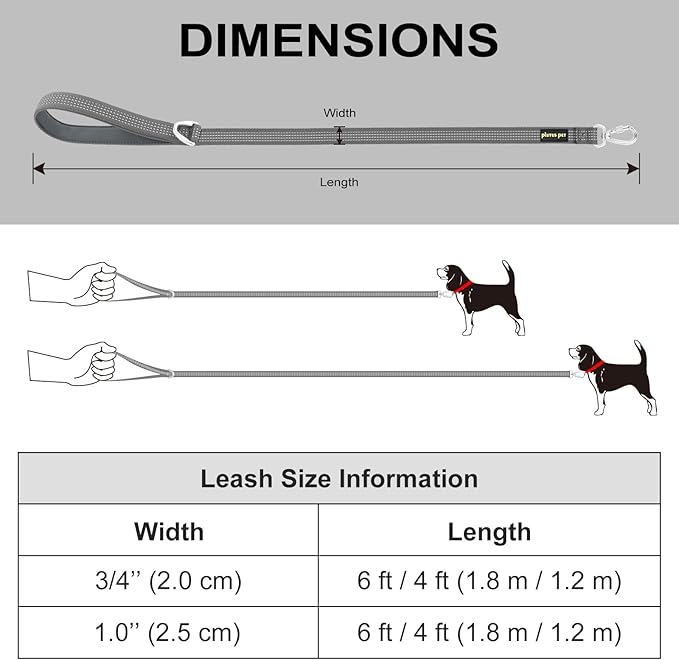 Plutus Pet Heavy Duty Dog Leash with Lockable Aluminum Carabiner, 4/6 Feet Long, Double-Sided Reflective Nylon, Padded Handle, for Puppy, Small, Medium and Large Dogs (Pink, 1" x 6')
