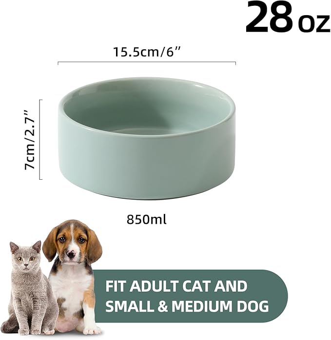 Havniva Ceramic Set of 2 Dog Bowls, Food and Water Bowls for Dogs, Puppy, 2pcs Dog Dishes, Pet Feeder(6inch, 2 x Light Green Bowls)