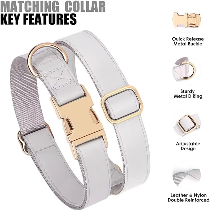 PET ARTIST Soft PU Leather Dog Collar and Leash Set, Bright & Stylish 5FT PU Leather Leash and Collar Set, Durable Pet Collars with Quick Release Metal Buckle for Large Dogs,Gray,L(16-27")