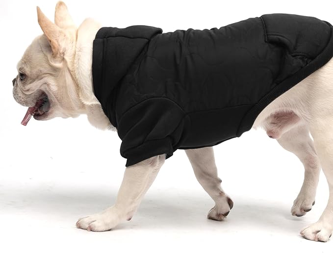 KOOLTAIL Warm Dog Winter Coat for Small Dogs, Waterproof Puppy Jacket with Leash Hole, Cold Weather Pet Vest for Winter, Soft Pet Hoodie Sweater Sweatshirt Clothes for Puppy Cats Girls Boys Black M