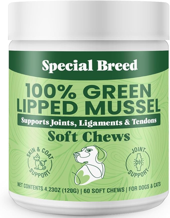 Special Breed Green Lipped Mussel for Dogs & Cats - 60 Soft Chews - New Zealand Green Lipped Mussels - Natural Hip & Joint Supplement for Joints, Tendons, Ligaments, Muscles