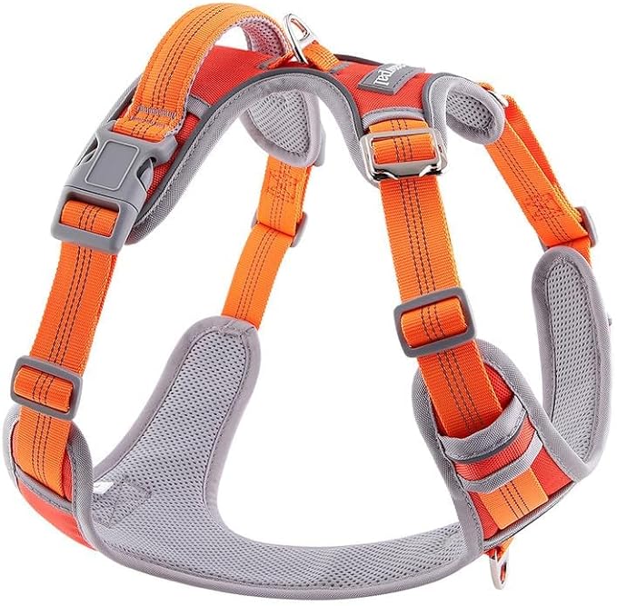 Adjustable Dog Harness - No Pull, Reflective, Soft Padded for Small, Medium, Large Dogs - Includes Leash Orange XL