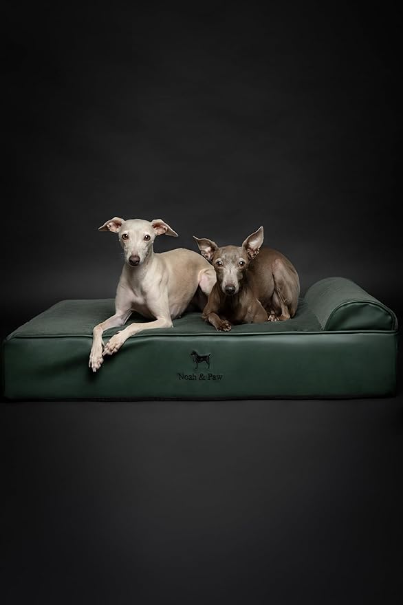 NOAH & PAW Large Dog Bed, 35x25x8.7 Inch, Orthopedic Dog Beds, Eggshell Memory Foam Infused with Cooling Gel, Waterproof, Machine Washable, Includes Inner Cover (Faux Leather)