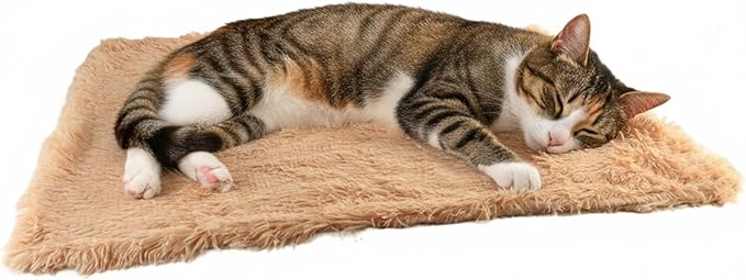 Pets Bed Blanket Dogs Reversible Soft Dog Throw Blankets Cats Mat Sleeper Fuzzy Pet Couch Covers Washable Cat Puppy Cover for Beds Car Sofa Travel Double Sided Furniture Protection (Champagne,S)