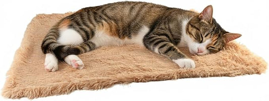 Pets Bed Blanket Dogs Reversible Soft Dog Throw Blankets Cats Mat Sleeper Fuzzy Pet Couch Covers Washable Cat Puppy Cover for Beds Car Sofa Travel Double Sided Furniture Protection (Champagne,S)