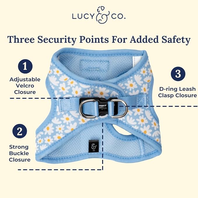 Lucy & Co. Simply Splendid Step-in Cat Harness & Leash Bundle – Reflective, Breathable & Adjustable Harness for Cats, Kittens & Small Dogs, Lightweight & Secure and Dual Leash Clips – Large
