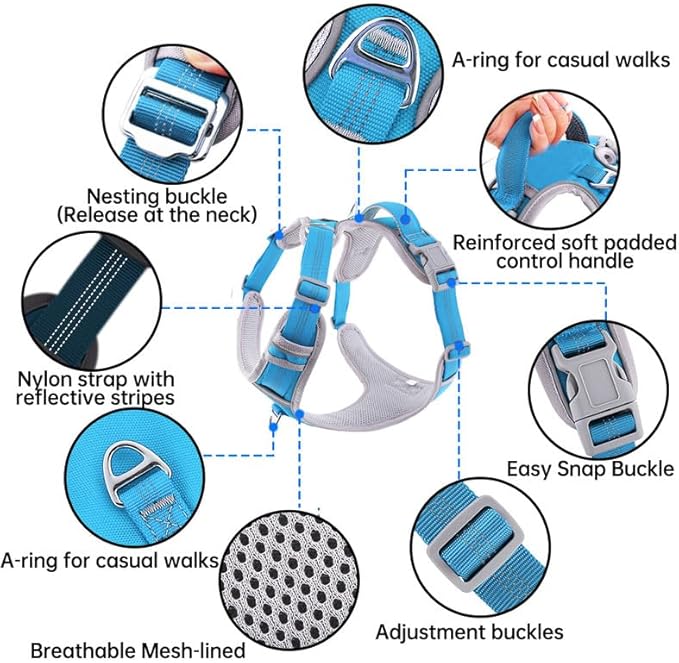 Adjustable Dog Harness - No Pull, Reflective, Soft Padded for Small, Medium, Large Dogs - Includes Leash and Collar Turquoise L