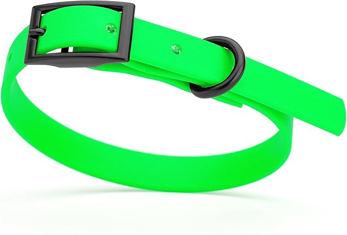 Dogline Biothane Coated Webbing Dog Collar with Black Metal Hardware: Durable Easy-Clean Everyday Collar for Dogs - Comfortable Adjustable Odor-Resistant Pet Collar, W1/2" x L9-12, Tropical Green