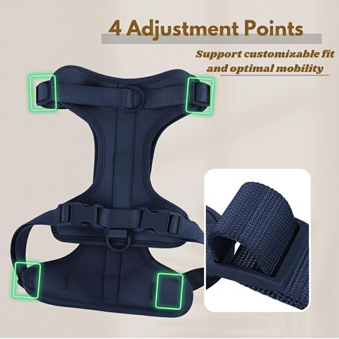 Dog Harness, No-Pull Pet Harness with 3 Leash Clips, Adjustable Soft Padded Dog Vest, Breathable Mesh Cushion for Small Medium Large Dogs (Blue, Medium (Neck:15"-19" Chest 22"-30"))
