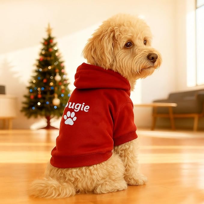 Personalized Name Dog Hoodie, Embroidered Hoodies Pet Name, Custom Puppy Sweater Warm Winter Outfit for Dogs, Bright Puppy Sweatshirt, Unique Pet Birthday Outfit, Gift for Dog Lovers