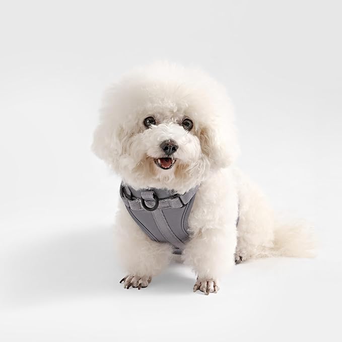 HNS1000N Arlo Extra Small Adjustable Soft Padded No Pull Pet Harness with 3 Buckles and 3 Leash Clips, Martini