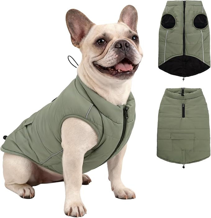 Dog Winter Coat - Waterproof Cold Weather Coat with Thick Padding, Windproof Dog's Snow Jacket with Neck & Tail Drawstrings, Reflective Puppy Jacket - Dog Coats, Olive Green M