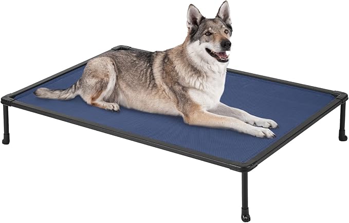 Veehoo Chewproof Elevated Dog Bed - Cooling Raised Pet Cot, Breathable Mesh, Washable & Non-Slip for Large Dogs, Indoor/Outdoor, Blue Mat and Black Frame, 49x33inches (Model CWC2203A03)
