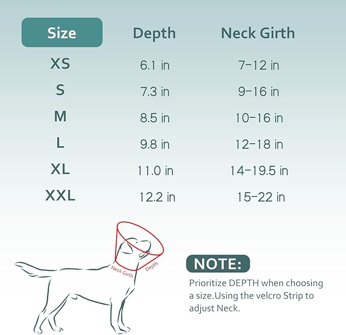 Dog Cone Collar with Snap-on Detachable Soft Liner, Lightweight Transparent Elizabethan Alternative to Stop Licking, for Spay Neuter Surgery Recovery, for Medium Large Small Dogs (Green,M)