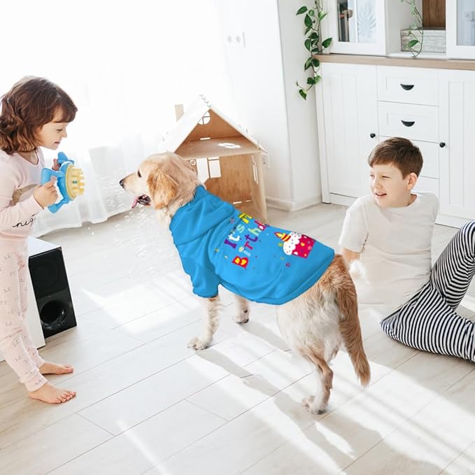 GreenJoy Dog Sweater Dog Hoodie Cold Weather Coat Hooded Sweatshirt for Puppies,Cats, Small Medium Large Dogs (Blue(It's My Birthday), XX-Large)