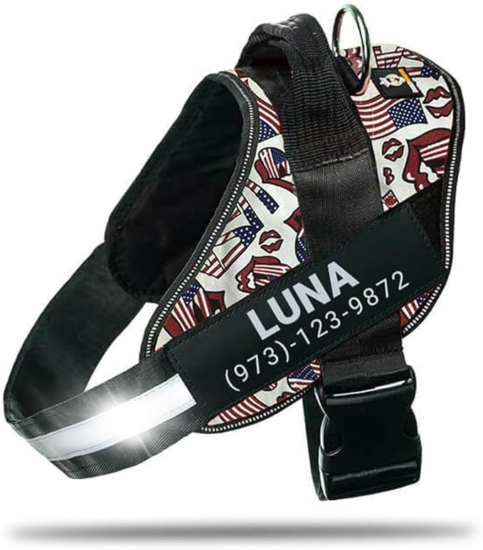 Personalized No-Pull Dog Harness with Name Patch, Adjustable, Reflective, Padded, Heavy Duty Pet Vest to Prevent Tugging, Pulling, or Choking, Training and Walking, USA, M